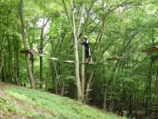 Accrobranche 6ème 2011