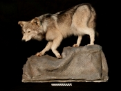 2011-15-85-b