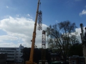 grue 1 (2)