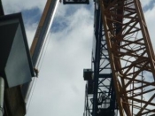 grue 1 (4)