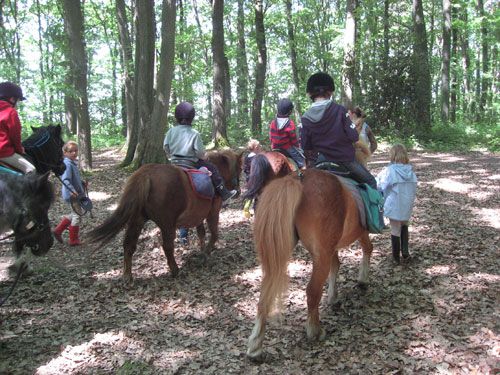La classe poney vue par les enfants de CP