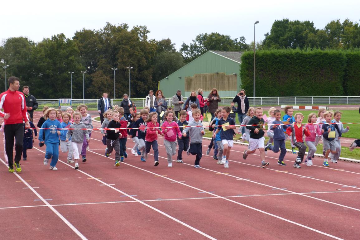 CROSS 2014