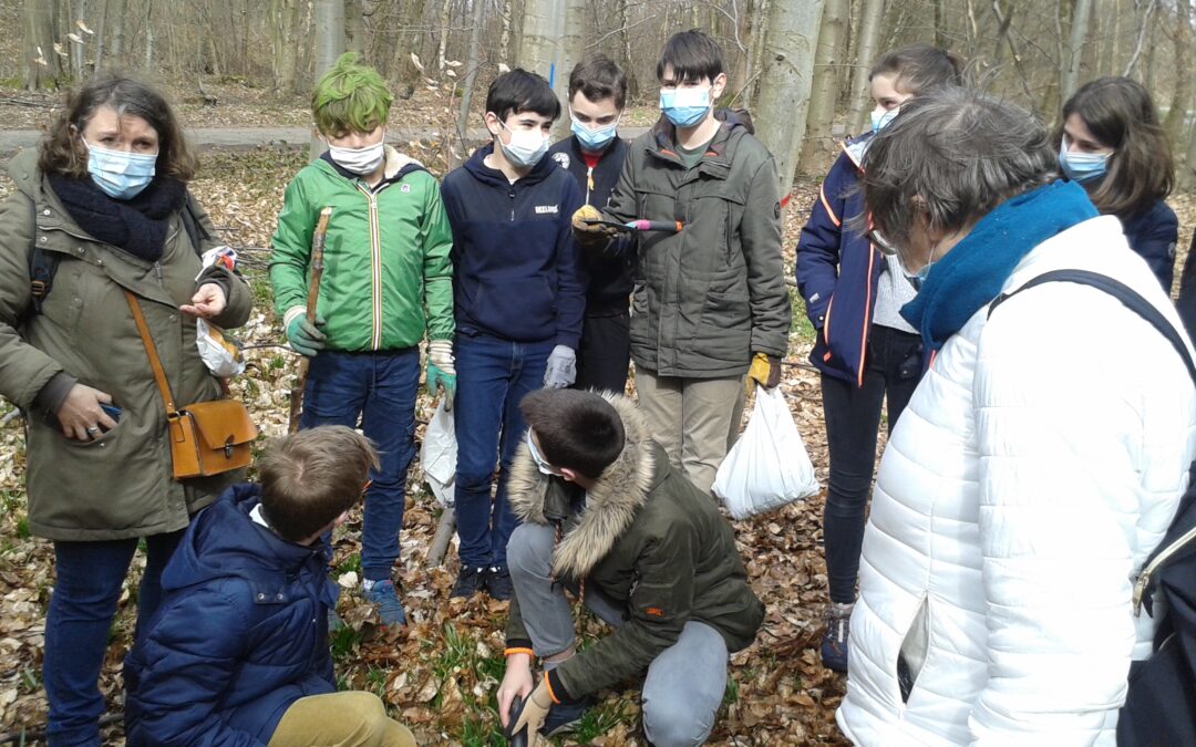 La forêt Verte prise d&rsquo;assaut par les élèves de la classe de 3E